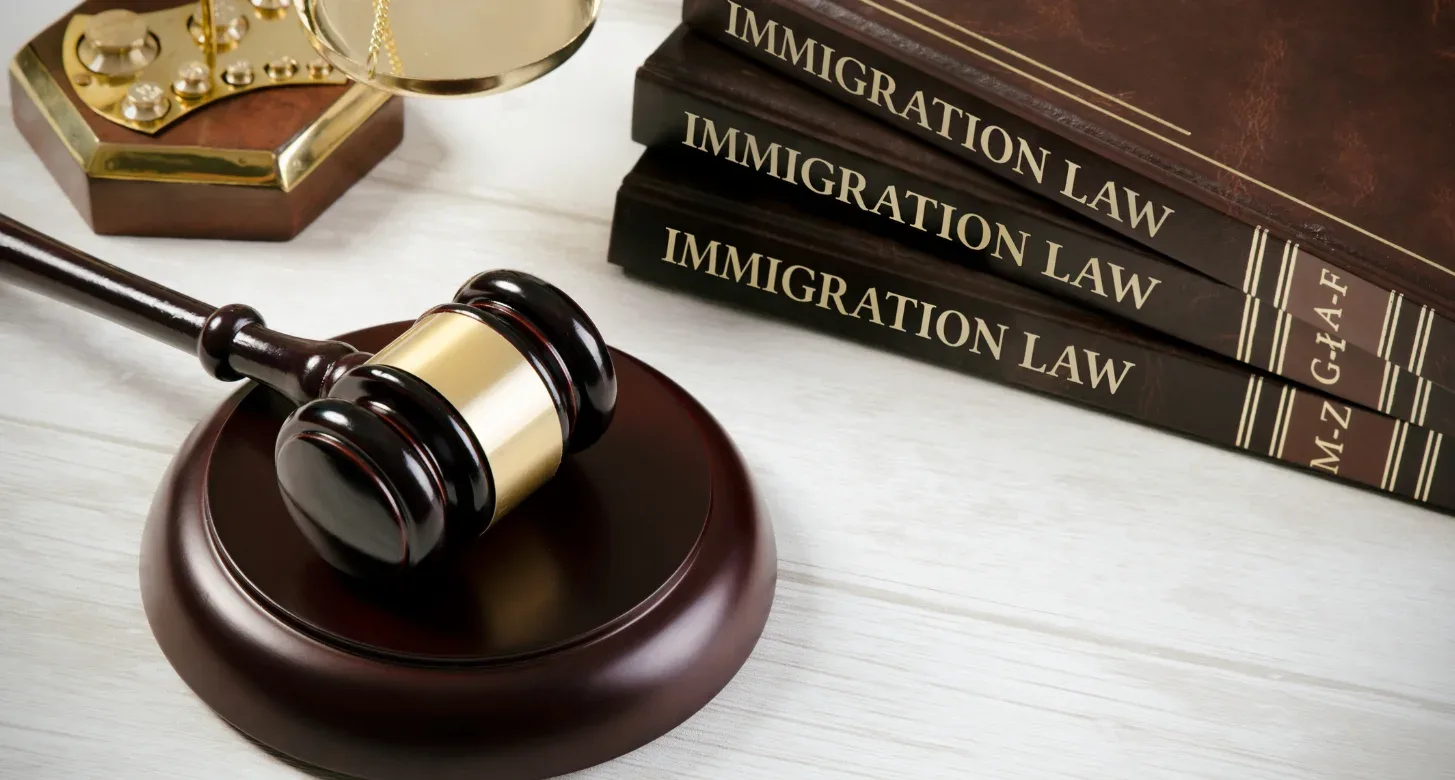 Immigration Law counsel